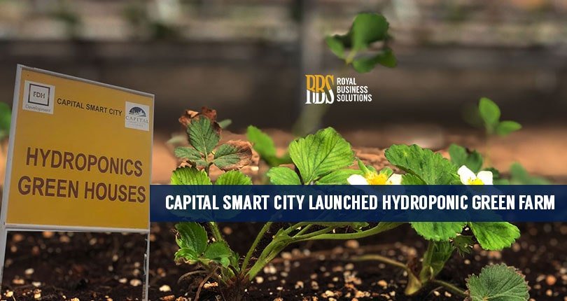 capital smart city, Hydroponic Farms