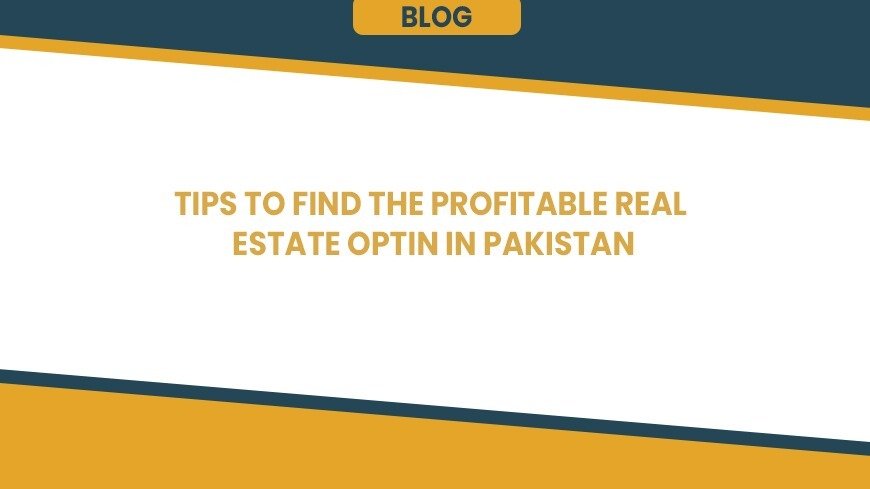 Tips to Find the Profitable Real Estate Option in Pakistan