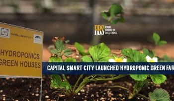 capital smart city, Hydroponic Farms