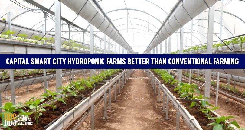hydroponic green farms, capital smart city