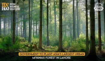 Asia Largest Urban Miyawaki Forest