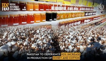 Pakistan to experience 90% Increase in production of Honey and Cotton