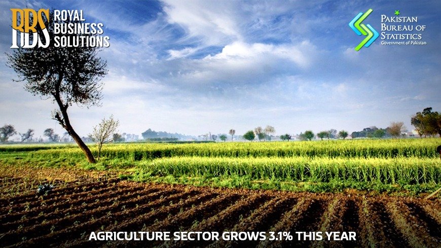 Agriculture Sector Grows