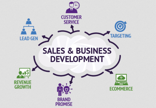Sales & Business Development