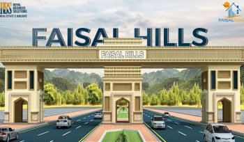 faisal hills