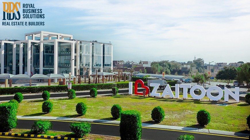 New City Lahore Zaitoon