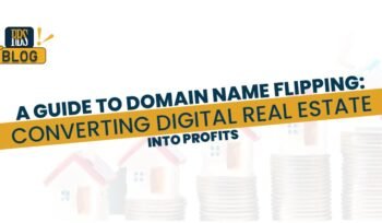 domain name flipping