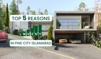 pine city haripur