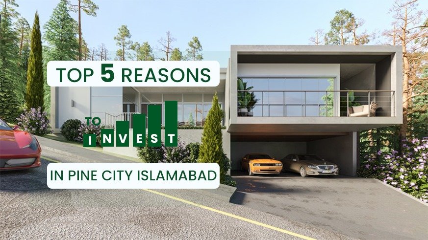 pine city haripur