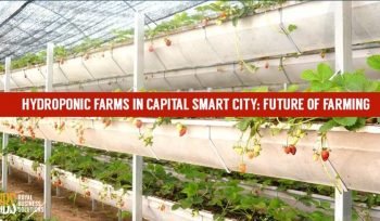 Capital Smart City Hydroponic Farms