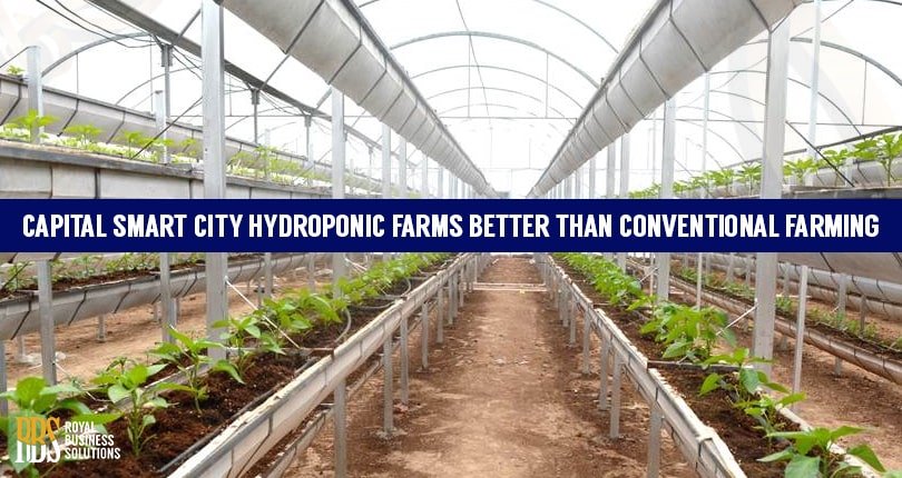 Capital-Smart-City-Hydroponic-Farms-Better-Than-Conventional-Farming