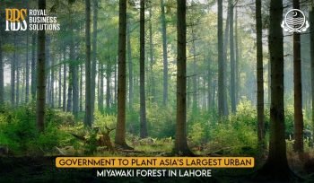Government to Plant Asia's largest Urban Miyawaki Forest in Lahore