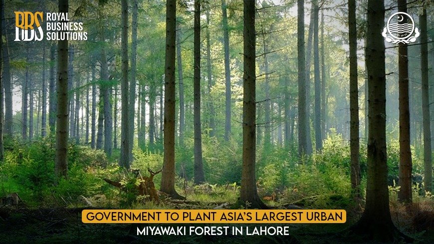 Government to Plant Asia's largest Urban Miyawaki Forest in Lahore