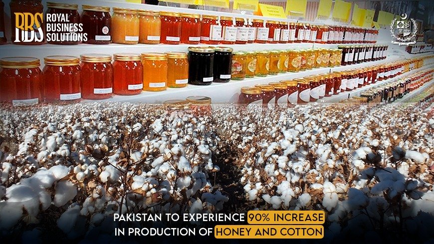 Pakistan to experience 90% Increase in production of Honey and Cotton