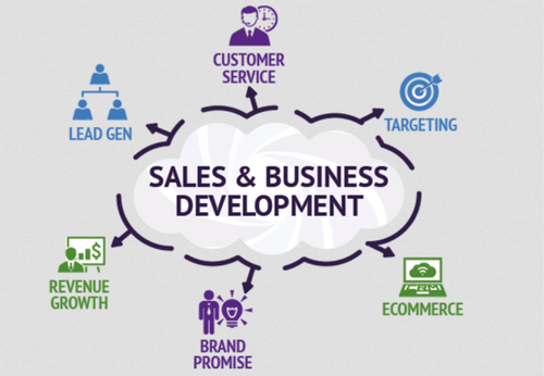 Sales & Business Development