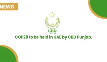 COP28 to be held in UAE by CBD Punjab