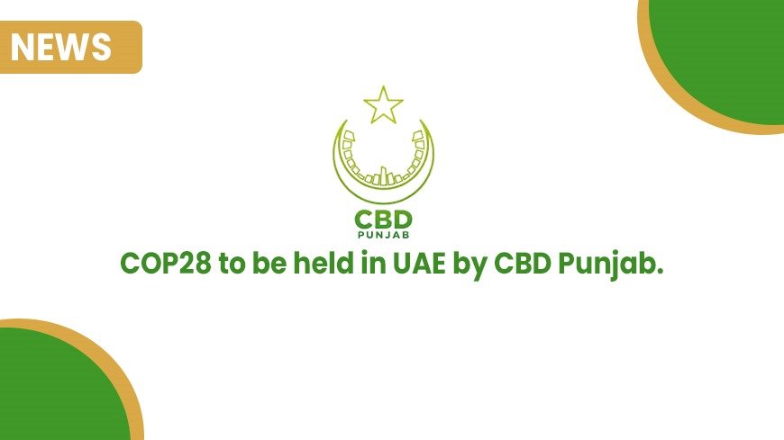 COP28 to be held in UAE by CBD Punjab