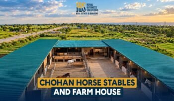 Chohan Horse Stables and Farm House