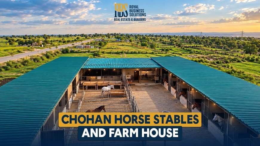 Chohan Horse Stables and Farm House